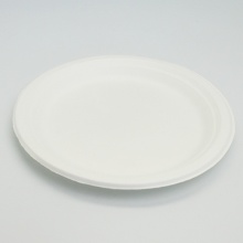 assiette-23cm-bagasse-compostable-2